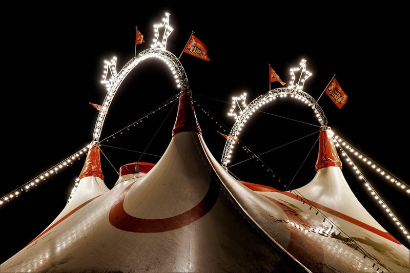 Vintage Circus Celebration